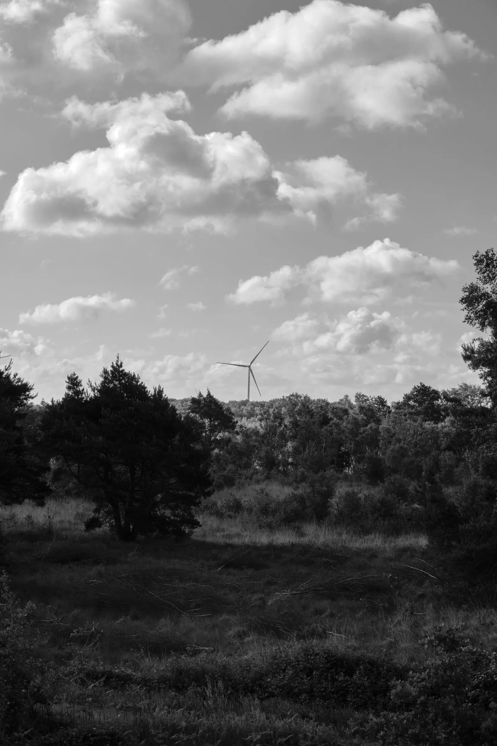 Photograph 15 by Stan van der Vleuten