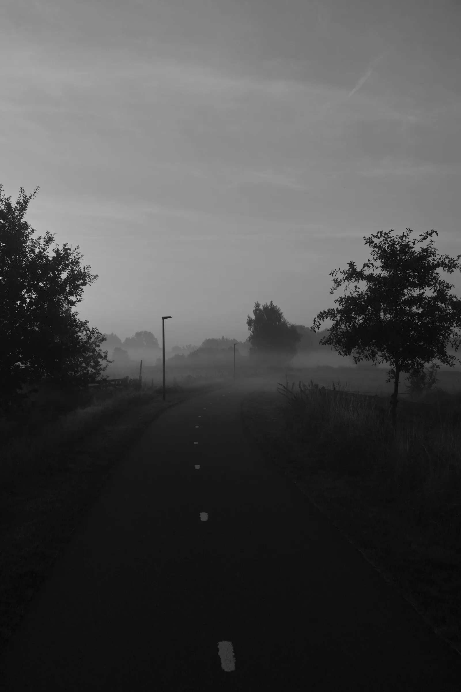 Photograph 19 by Stan van der Vleuten