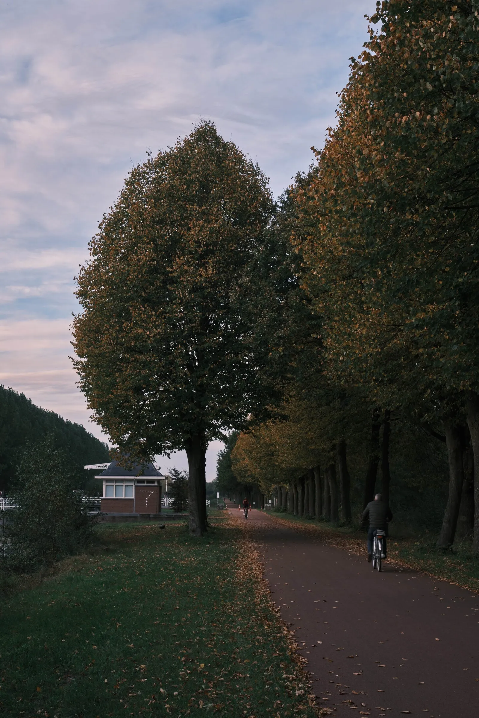 Photograph 03 by Stan van der Vleuten
