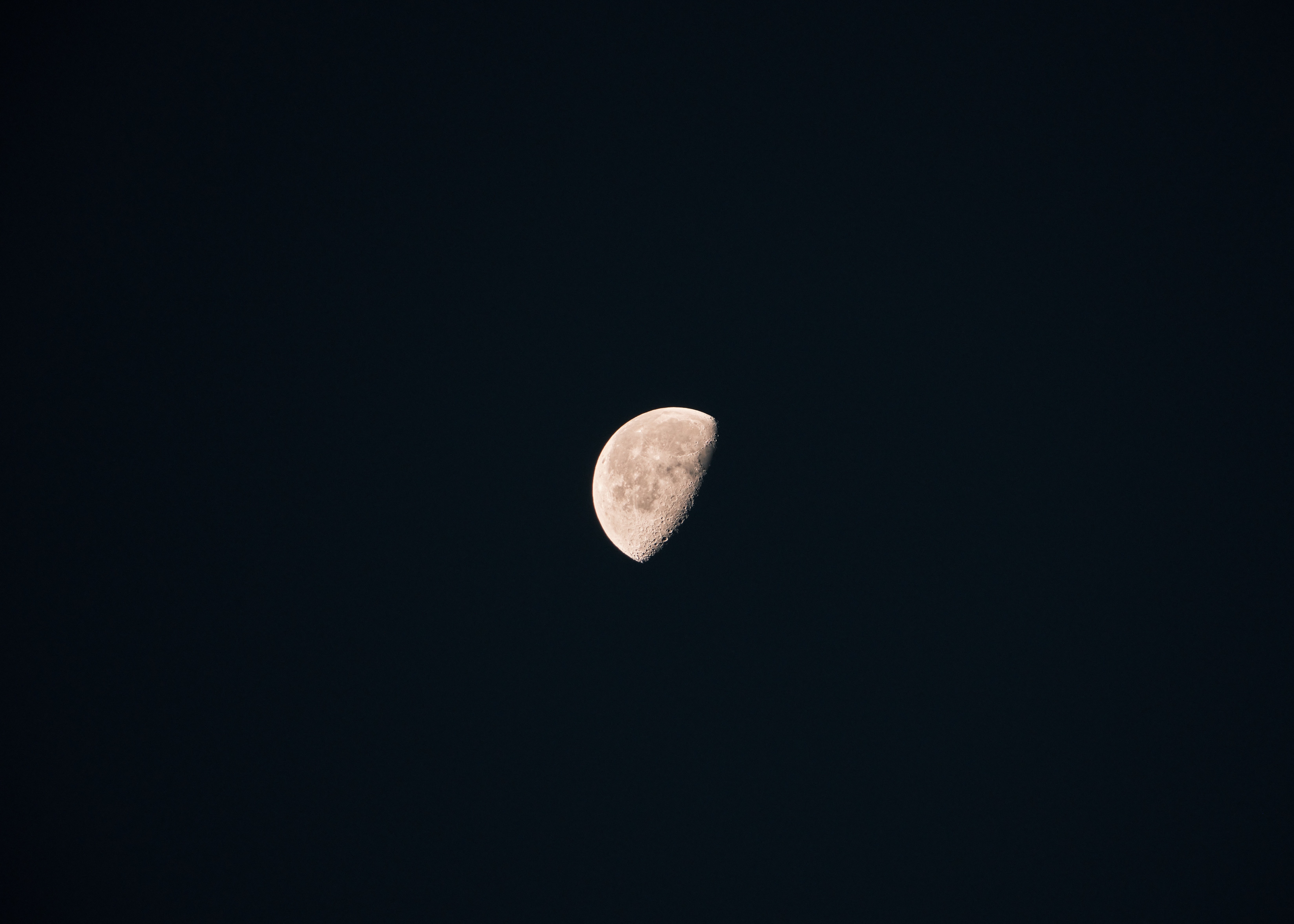 Photography by Wobbat