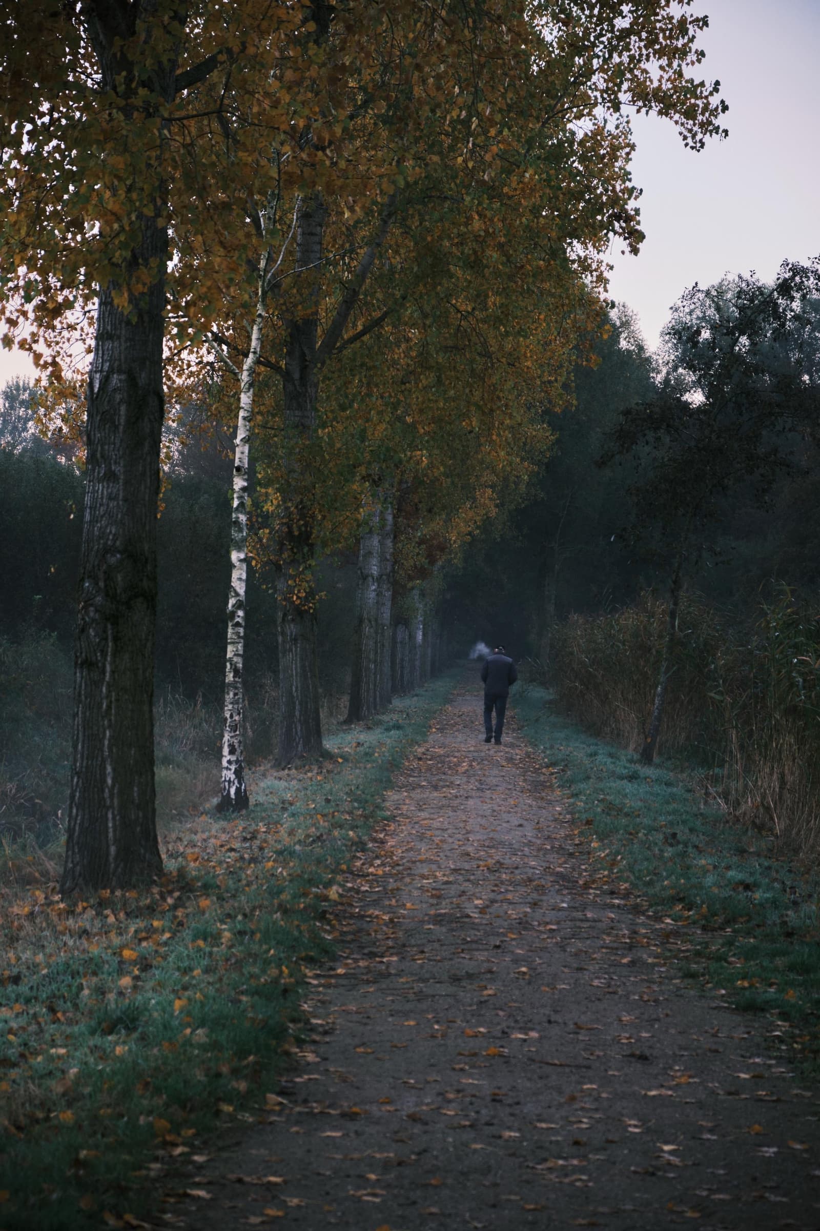 Photography by wobbat