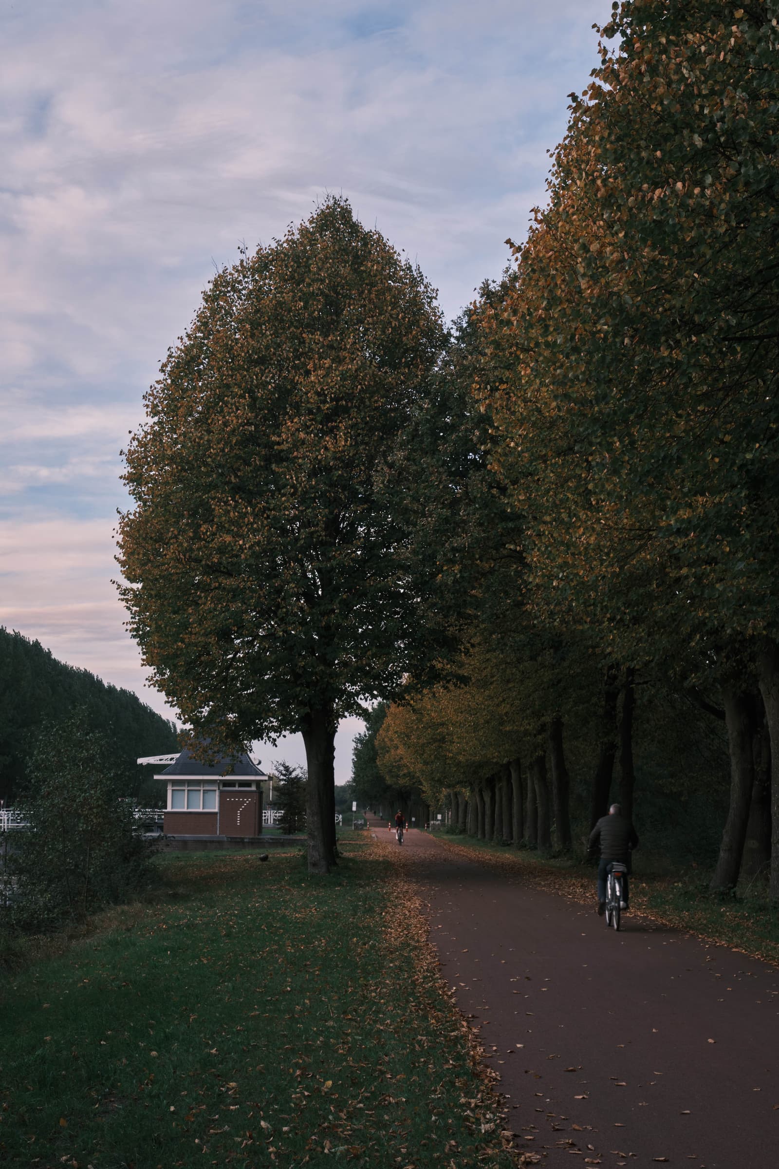 Photography by wobbat