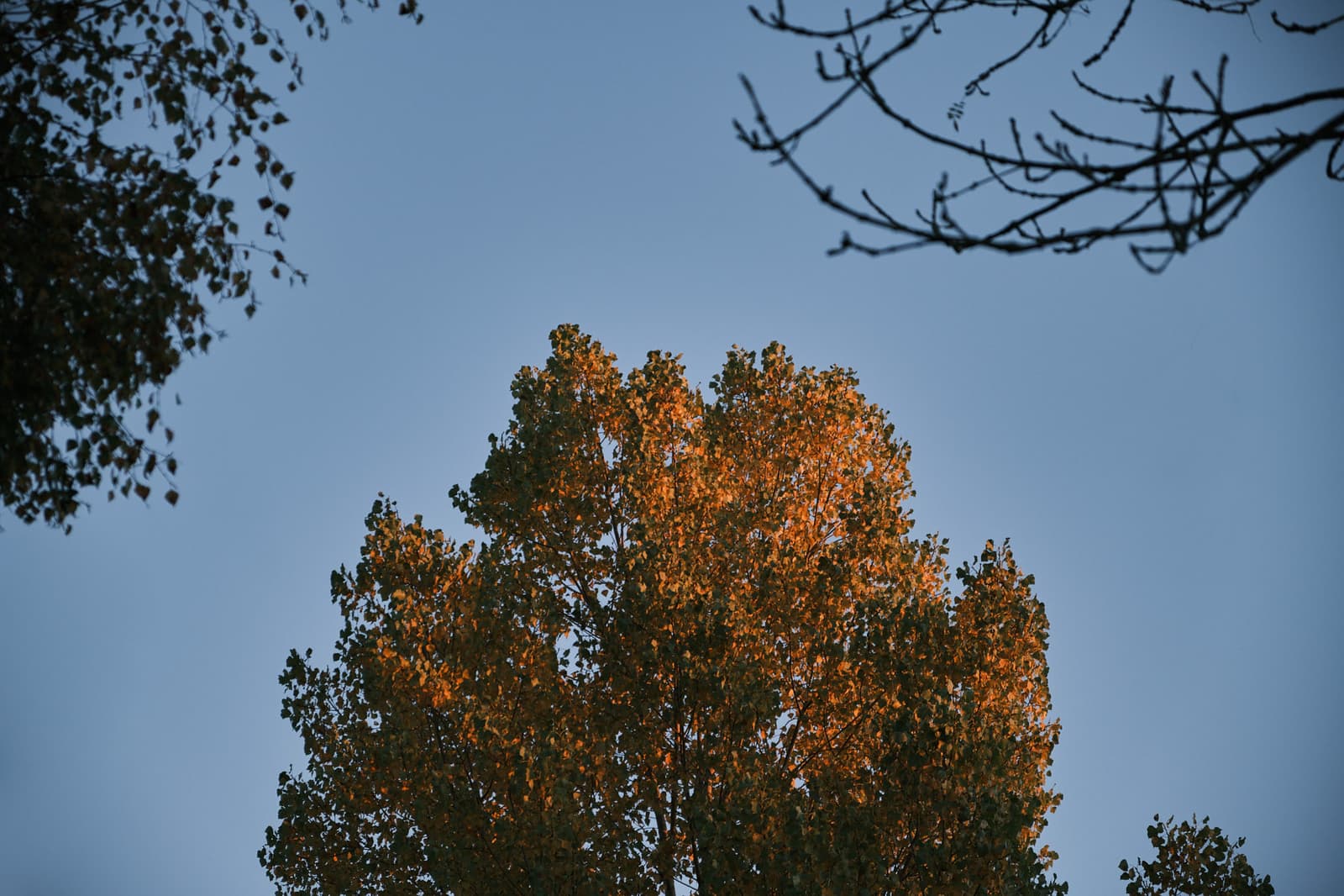 Photography by wobbat