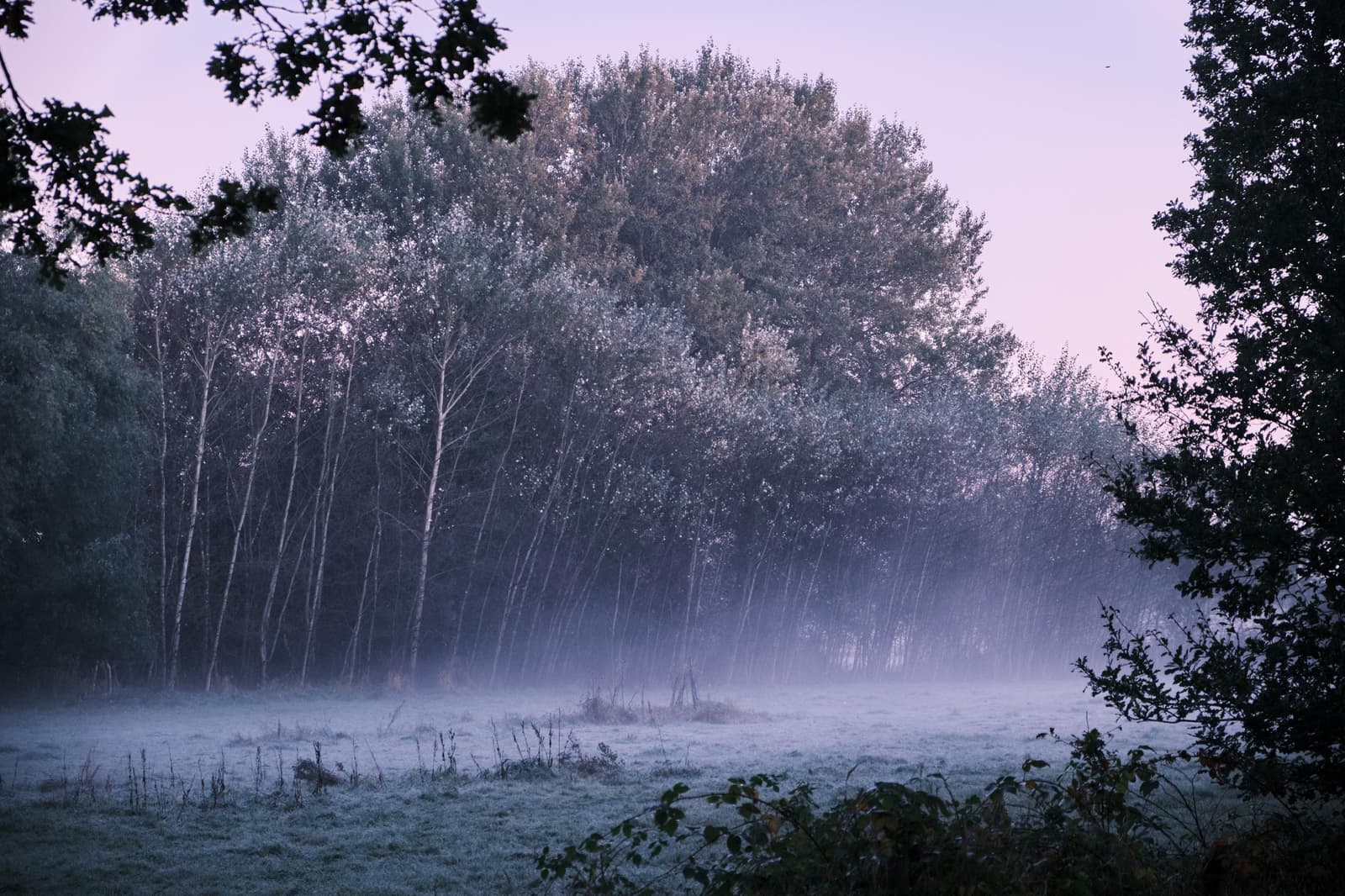 Photography by wobbat